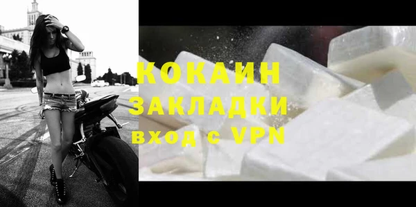 кокс Алексин