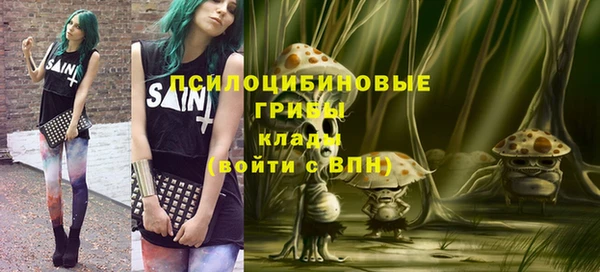 гидра Вязники