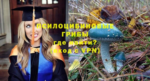 кокс Алексин